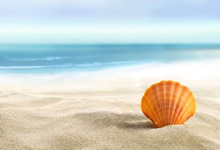 埃尔切士气大振，展望下一场比赛信心满满