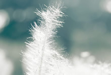 埃尔切士气大振，展望下一场比赛信心满满