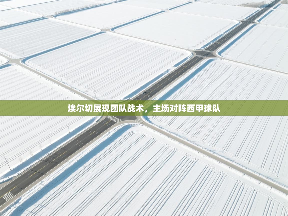 埃尔切展现团队战术，主场对阵西甲球队